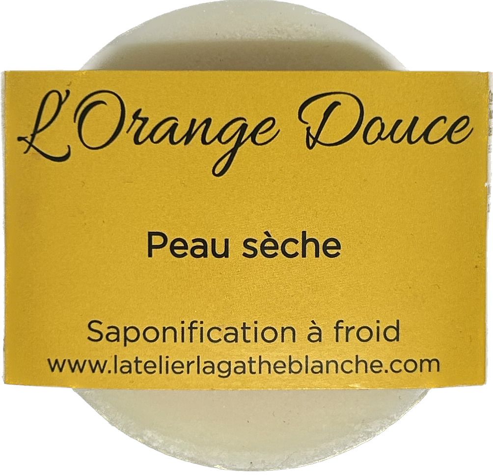 L orange douce vecto