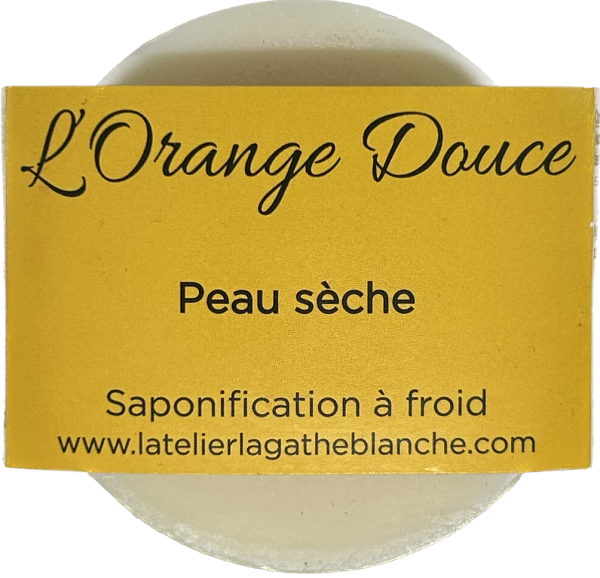 L orange douce vecto